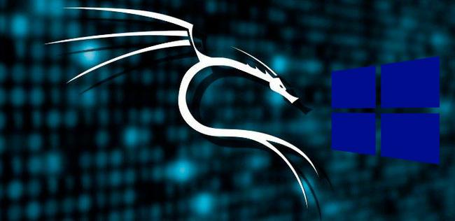 kali linux with windows 10