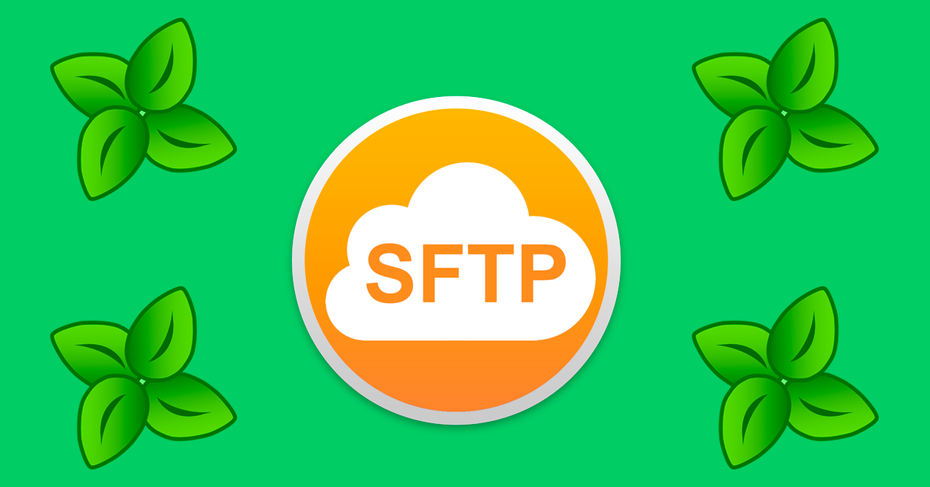 Xlight FTP Server Pro 3.9.3.7 for apple instal free