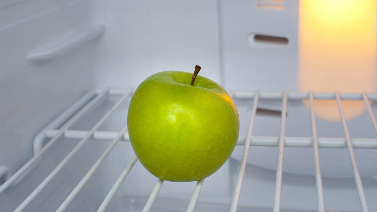 Ahorrar con el frigorífico antes de irte de vacaciones